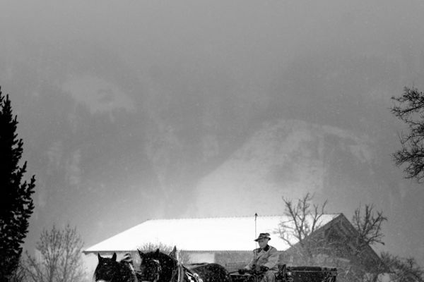 Pferdeschlittenfahrt Goldegg