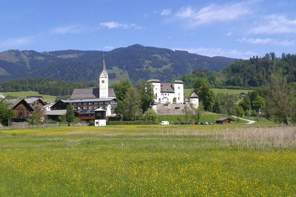 Goldegger Seewiese im Frühling