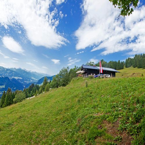 Alm Salzburg Austria